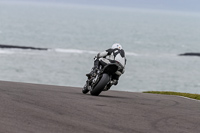 PJ-Motorsport-2019;anglesey-no-limits-trackday;anglesey-photographs;anglesey-trackday-photographs;enduro-digital-images;event-digital-images;eventdigitalimages;no-limits-trackdays;peter-wileman-photography;racing-digital-images;trac-mon;trackday-digital-images;trackday-photos;ty-croes